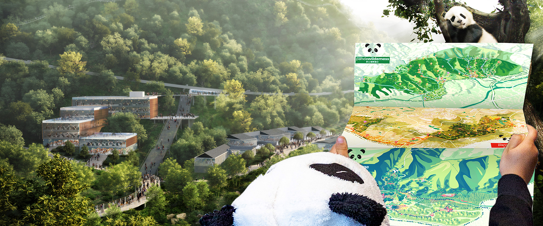 В Китае построят крупнейший парк для панд